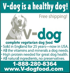 V-Dog