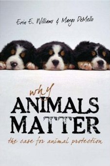 Why Animals Matter